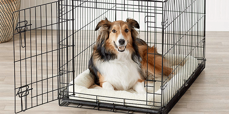 dog cage inside