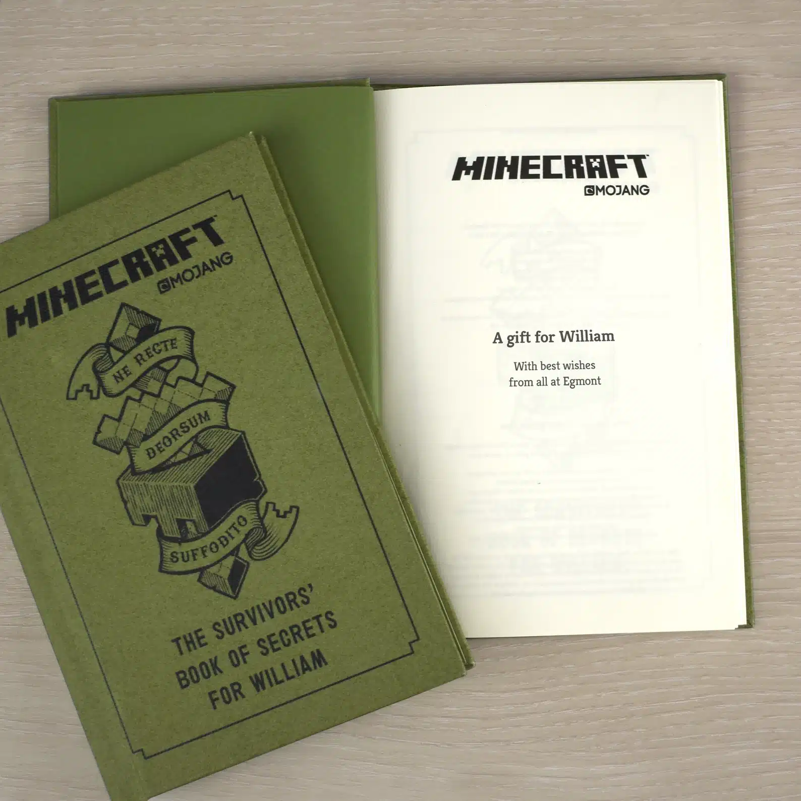 Minecraft the Survivors Book of Secrets