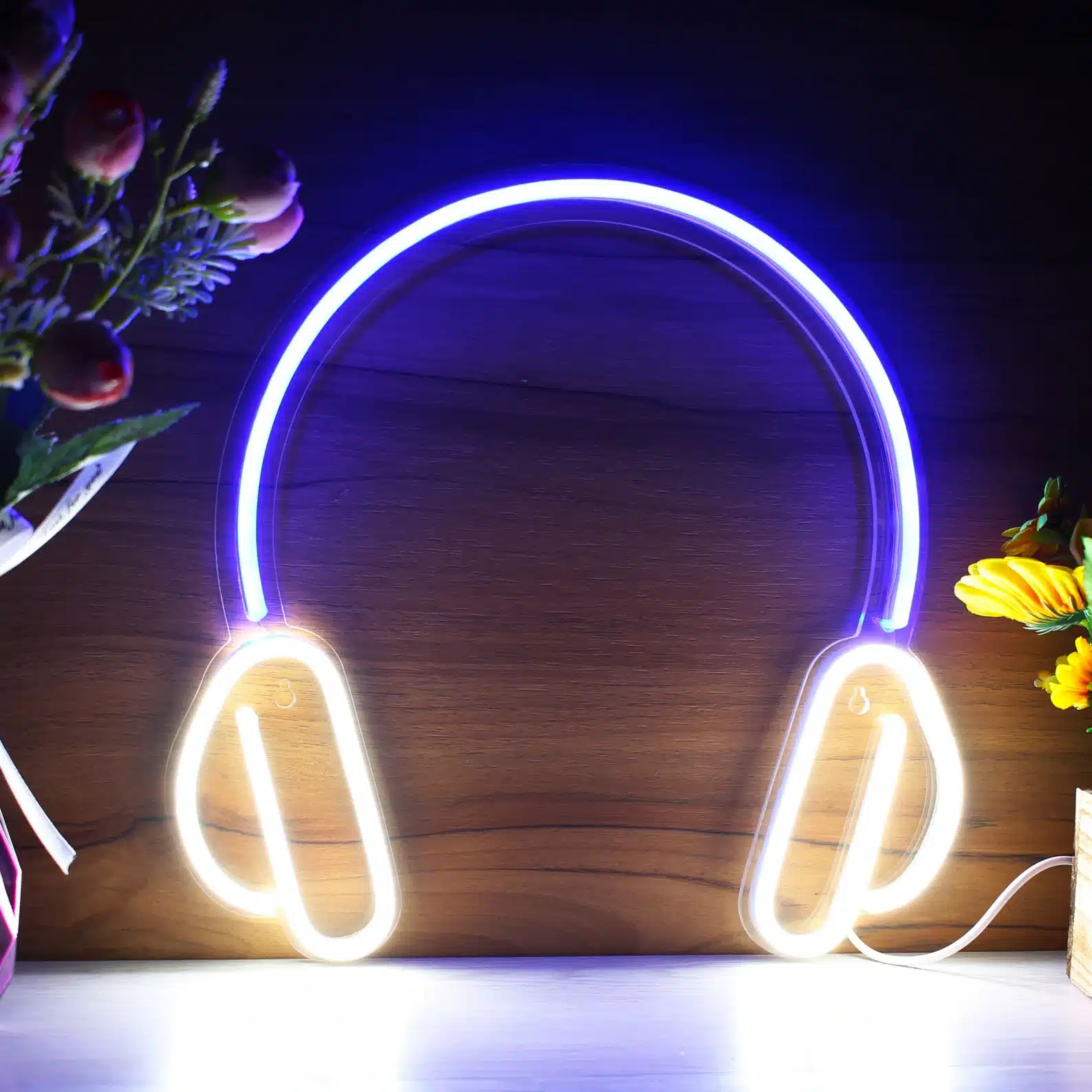 Headphone LED Neon Sign