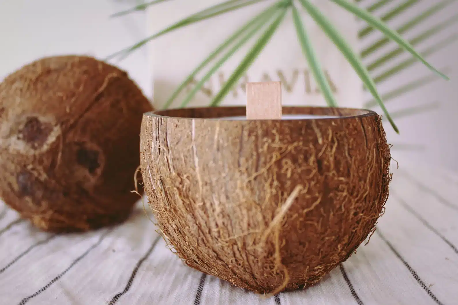 Coconut Candle Natural Scented Home