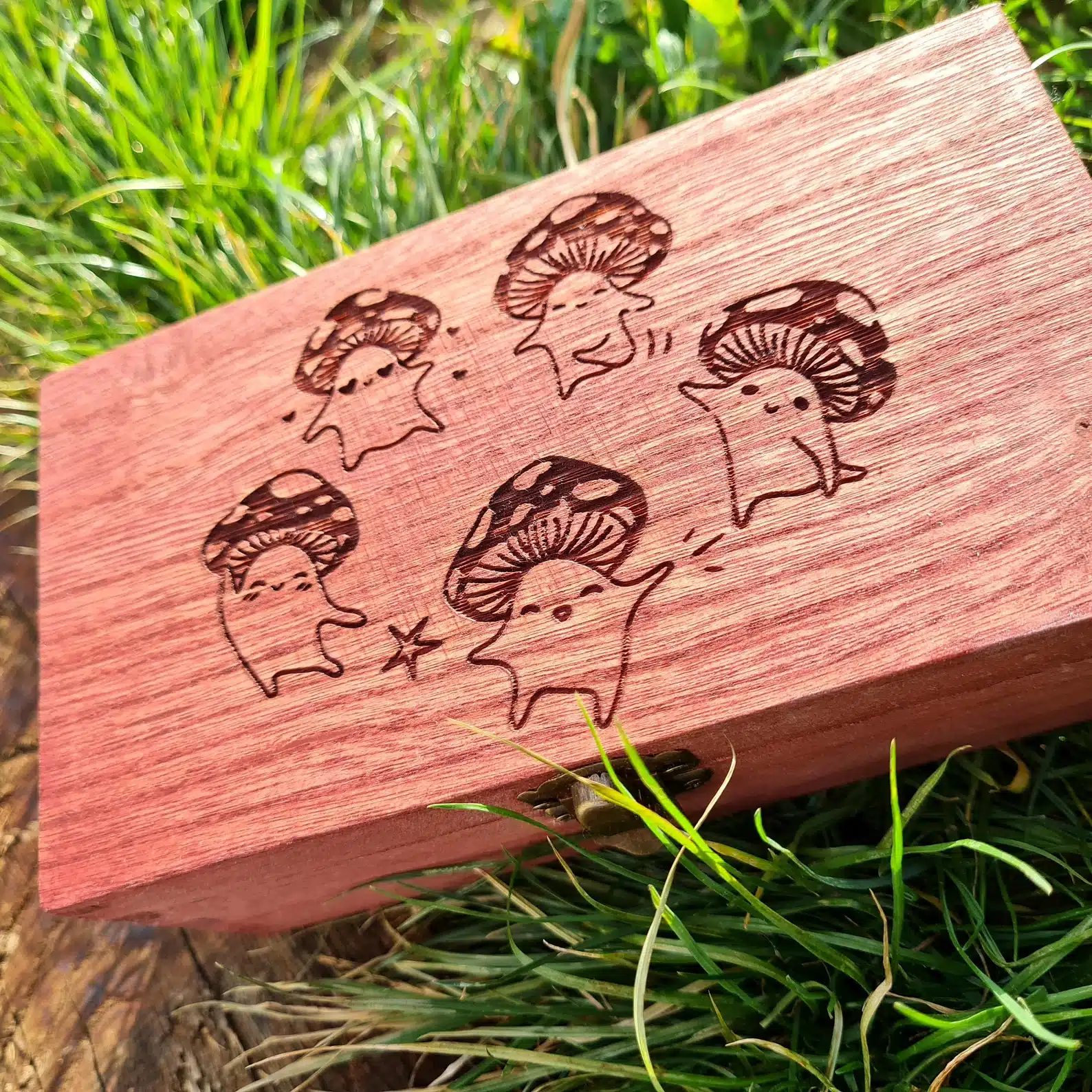 Happy Mushrooms Box