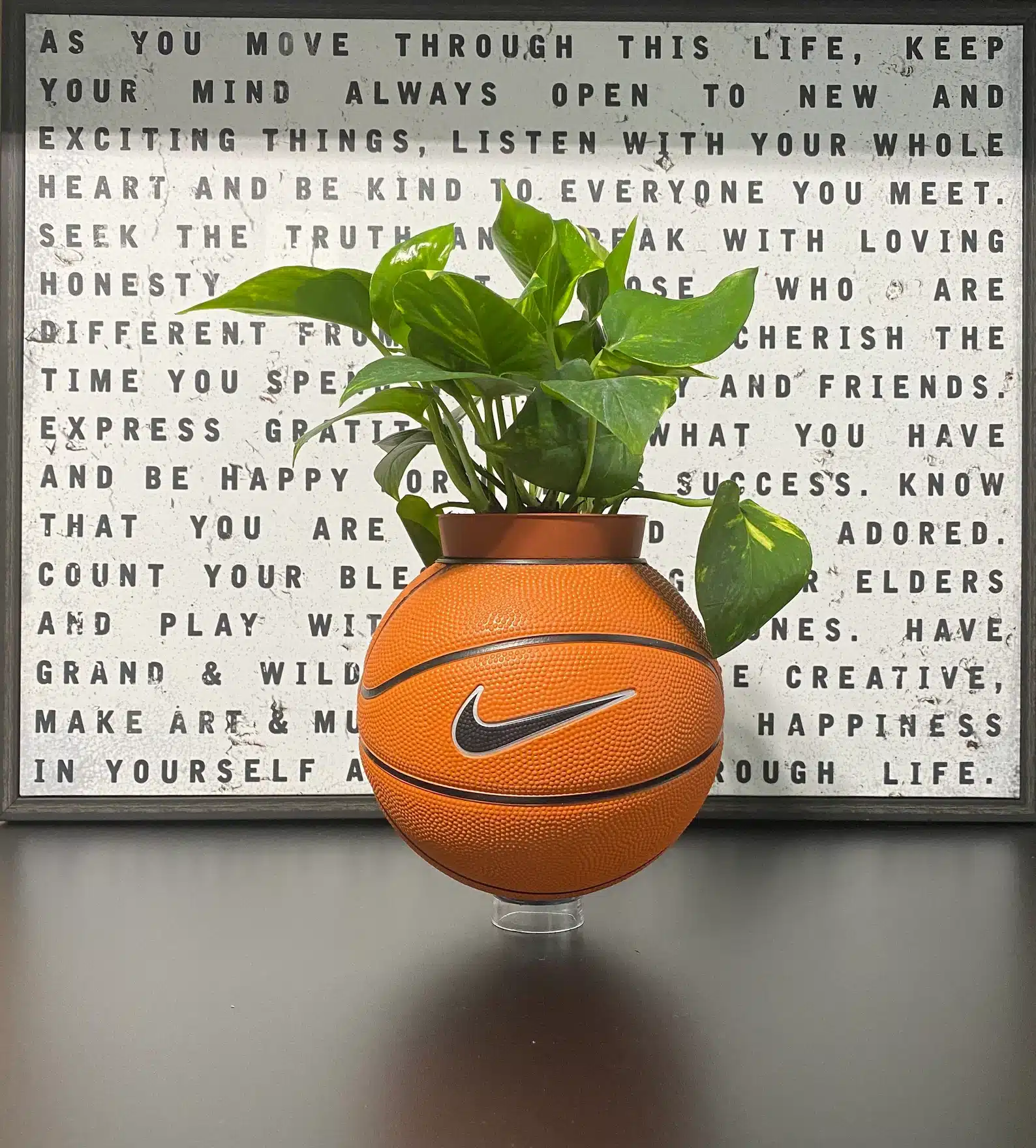 Nike Basketball Planter