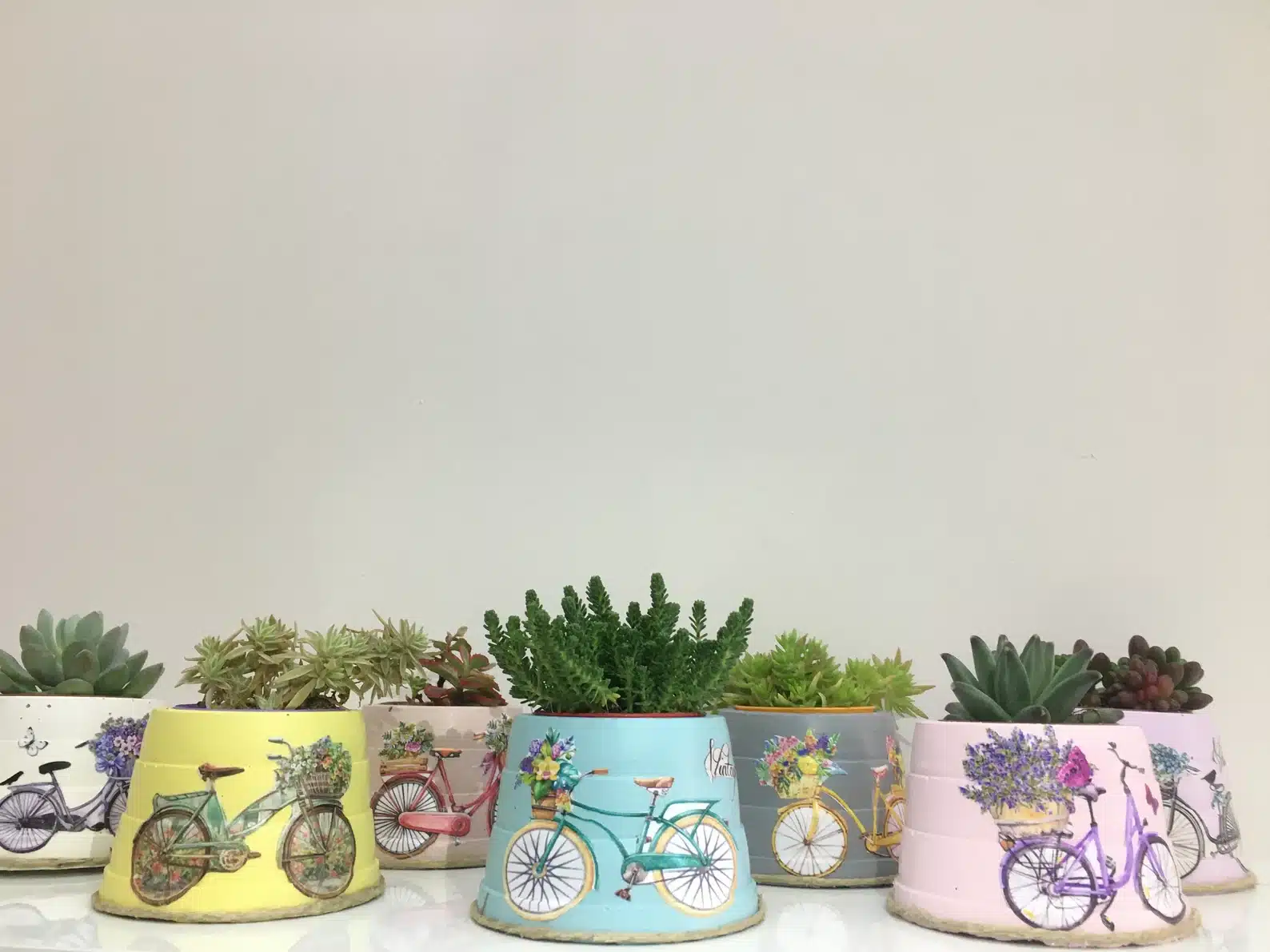 Bicycle Themed Succulent Planters