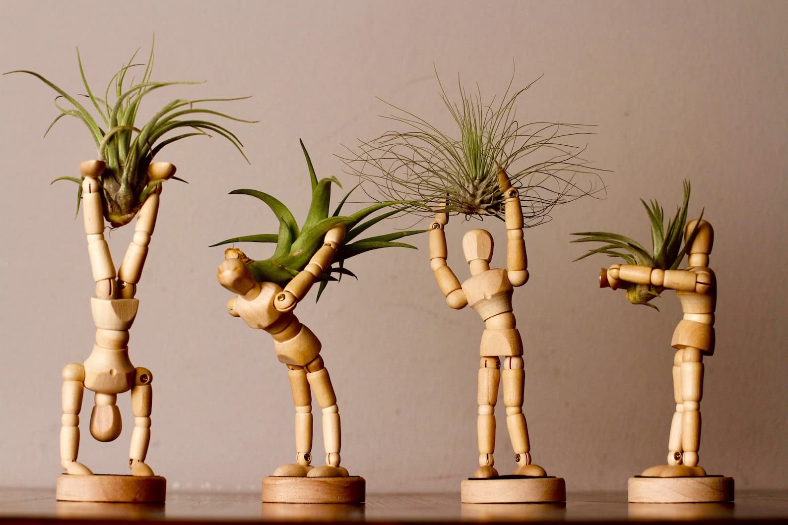 Unique Small Planter
