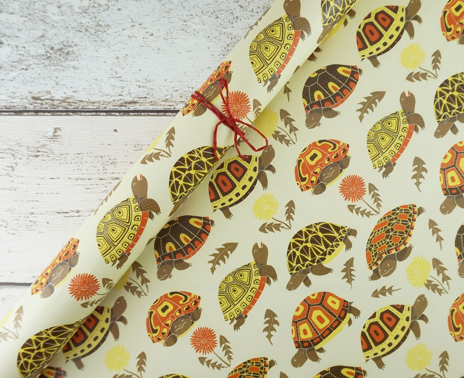 Tubby Tortoises Cute Patterned Gift Wrap