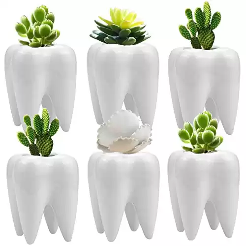 Hedume 6 Pack Tooth Shaped Planter Pots