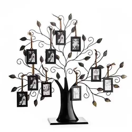 Family Tree Picture Frame Display