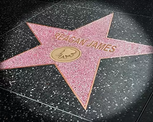 Hollywood Star Personalized Art