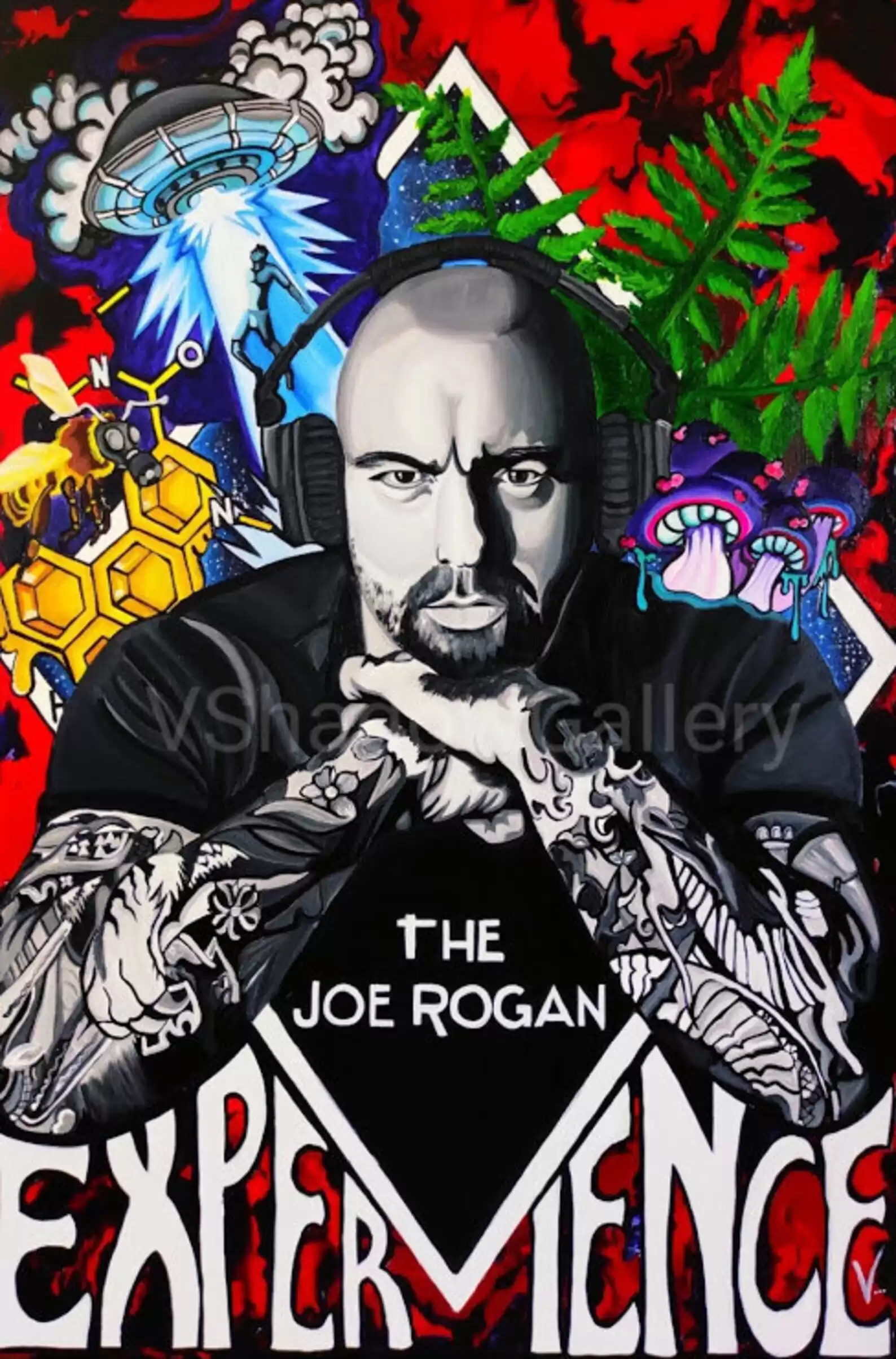 Joe Rogan Podcast Hand Painted Print