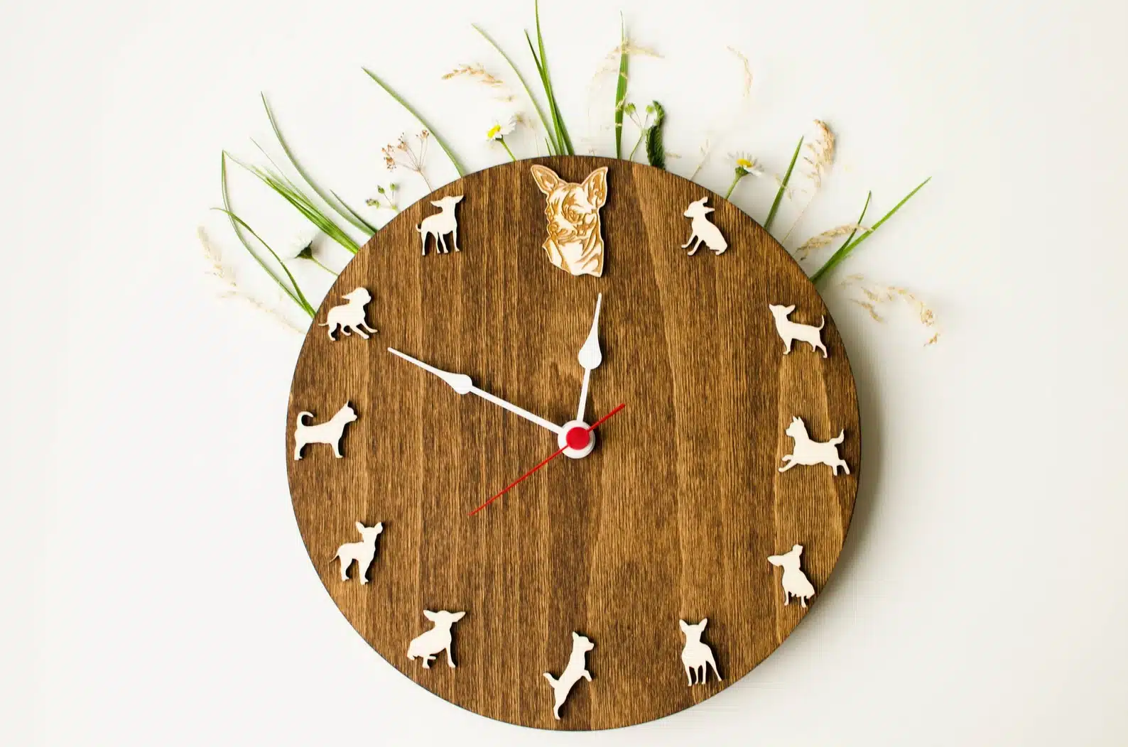 Chihuahua Portrait Wood Clock