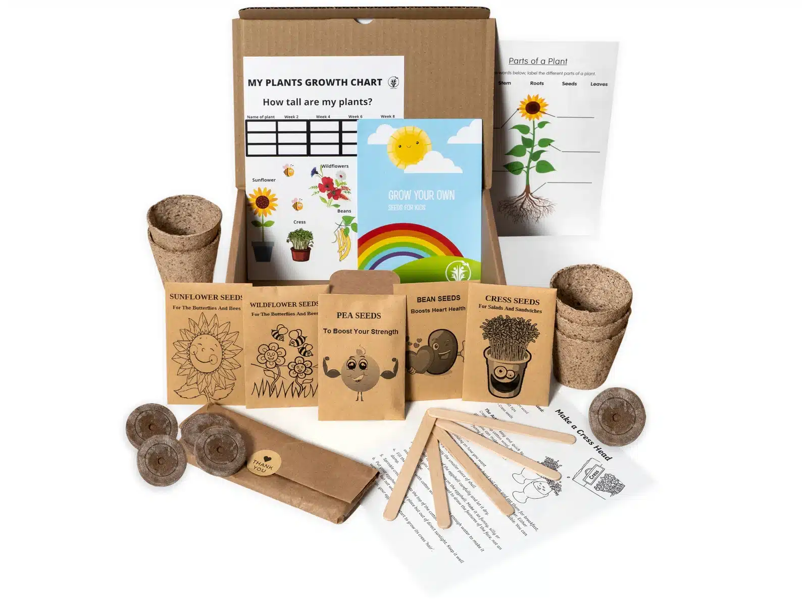 Seed Kits For Kids
