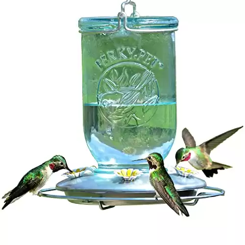 Mason Jar Vintage Glass Hummingbird Feeder